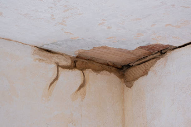 Best Emergency water damage restoration  in Waterloo, IN