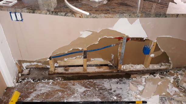 Best Flooded house restoration  in Waterloo, IN