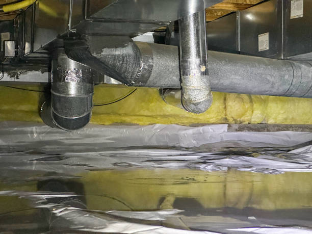 Best Water damage mitigation services  in Waterloo, IN