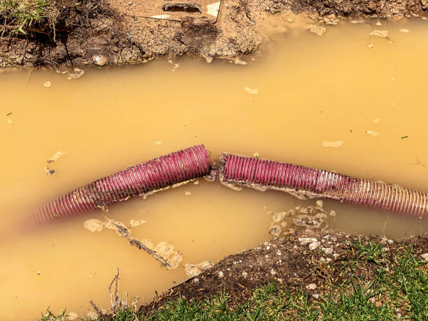 Best Sewage cleanup and water damage restoration  in Waterloo, IN