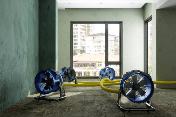 Best Mold removal after water damage  in Waterloo, IN